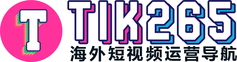 Tik265导航